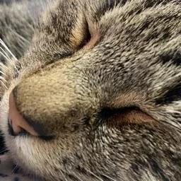 Slimey_Boy profile